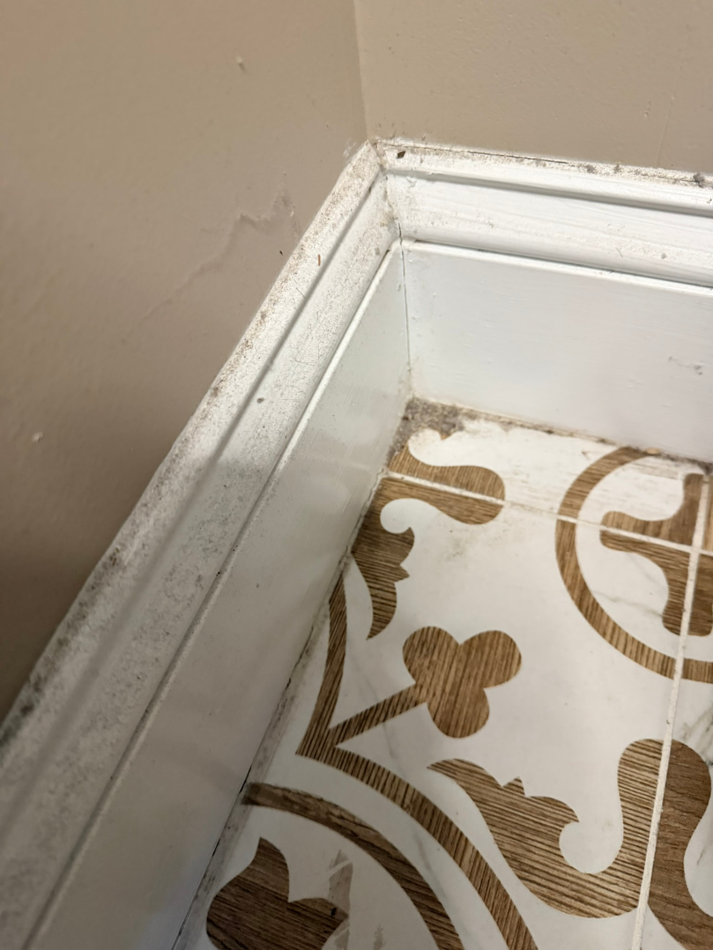 Floor edge and baseboard before deep cleaning